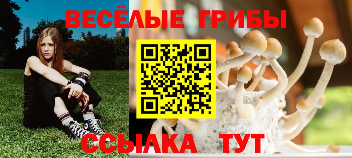 Галлюциногенные грибы мухоморы  Вход с VPN  Барабинск 